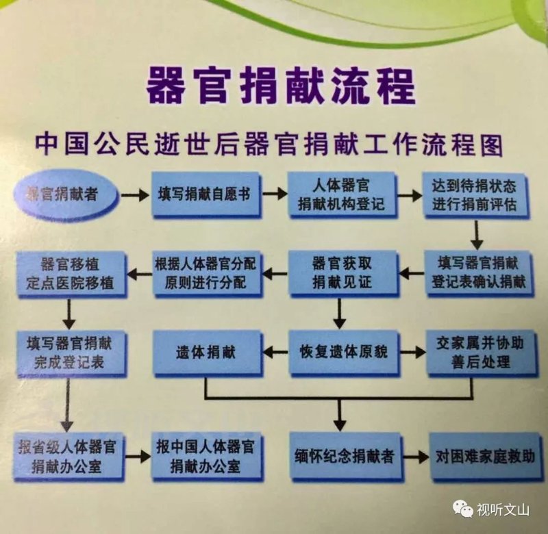 移植手术费用援助：为生命续航的温暖之光