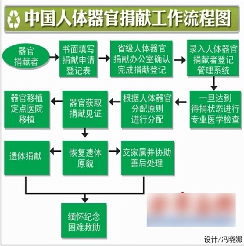 器官移植中的温情与挑战