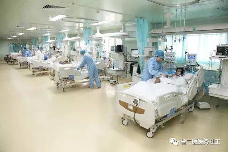 生命重塑：器官移植救助最新进展