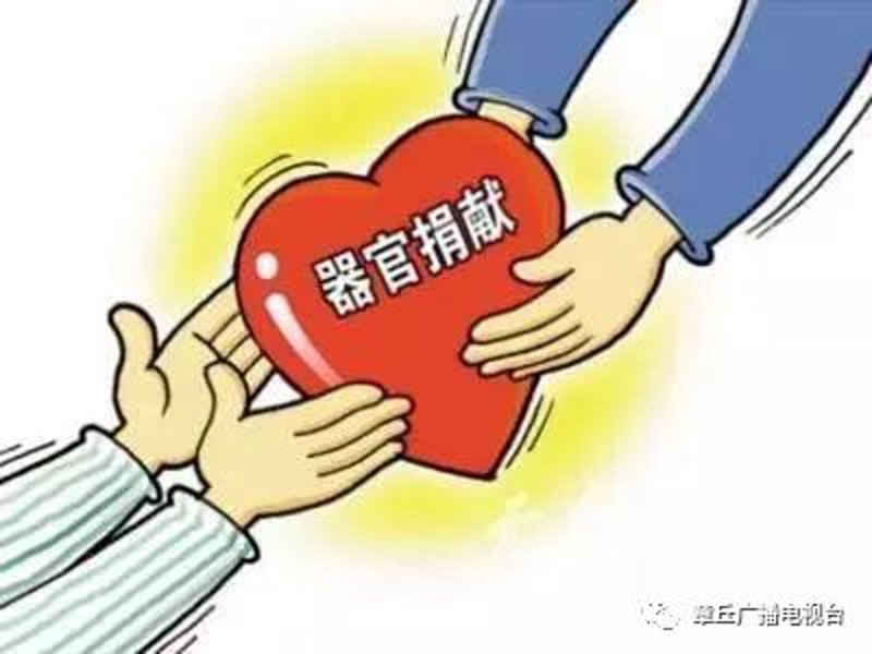 器官捐献救助